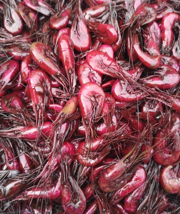 burgundy prawns
