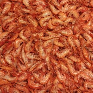 natural prawns