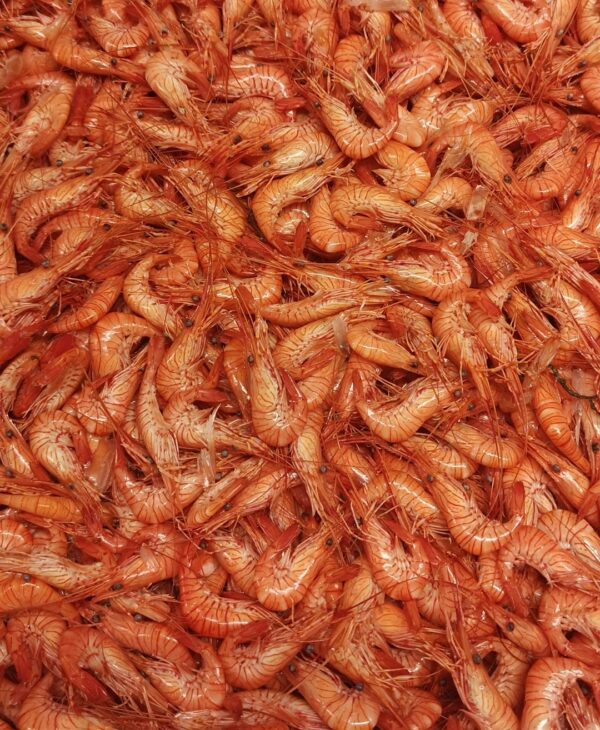 natural prawns