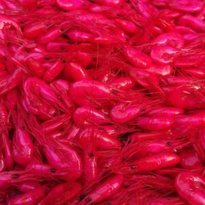 pink prawns