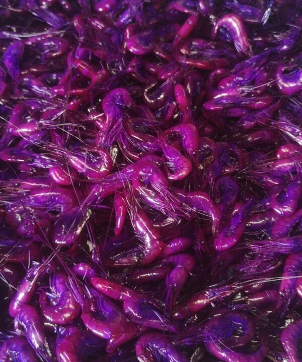 purple prawns