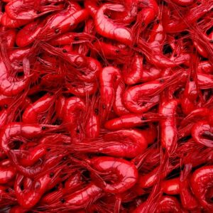 red prawns