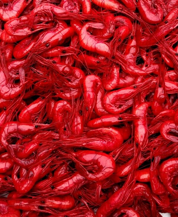 red prawns
