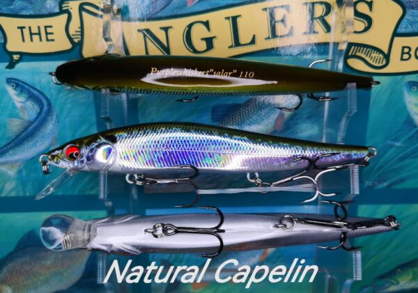 Natural Capelin