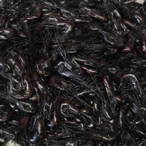black prawns